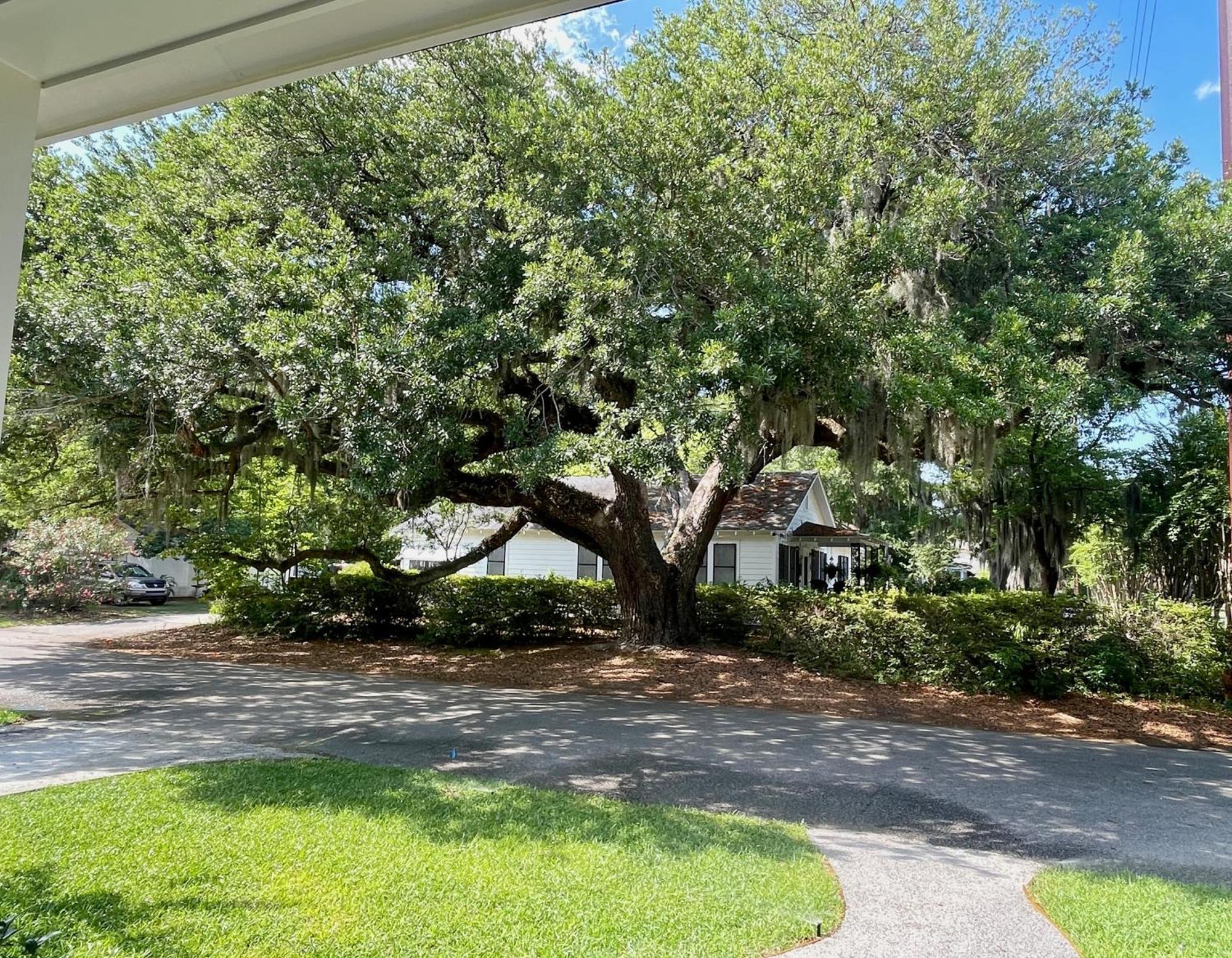 Magnolia Court Suites Beaufort Exterior foto